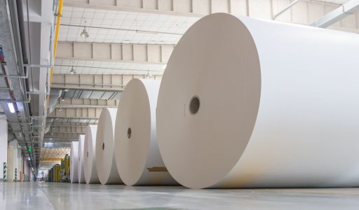 The huge white paper rolls in the factory